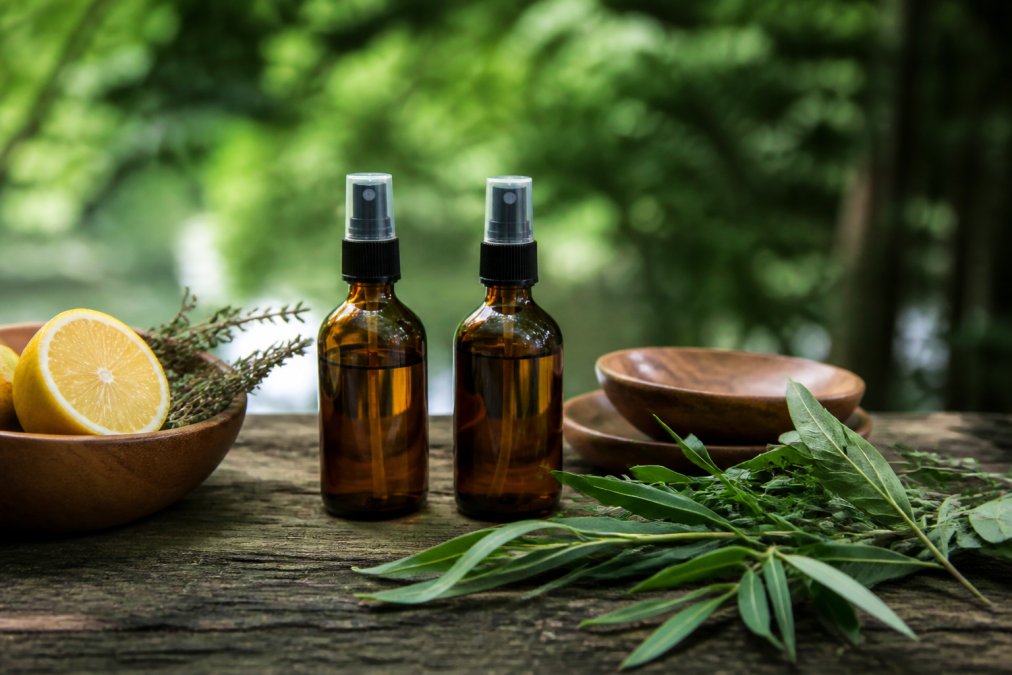 Natural Alternatives to DEET Bug Spray: A 2026 Guide