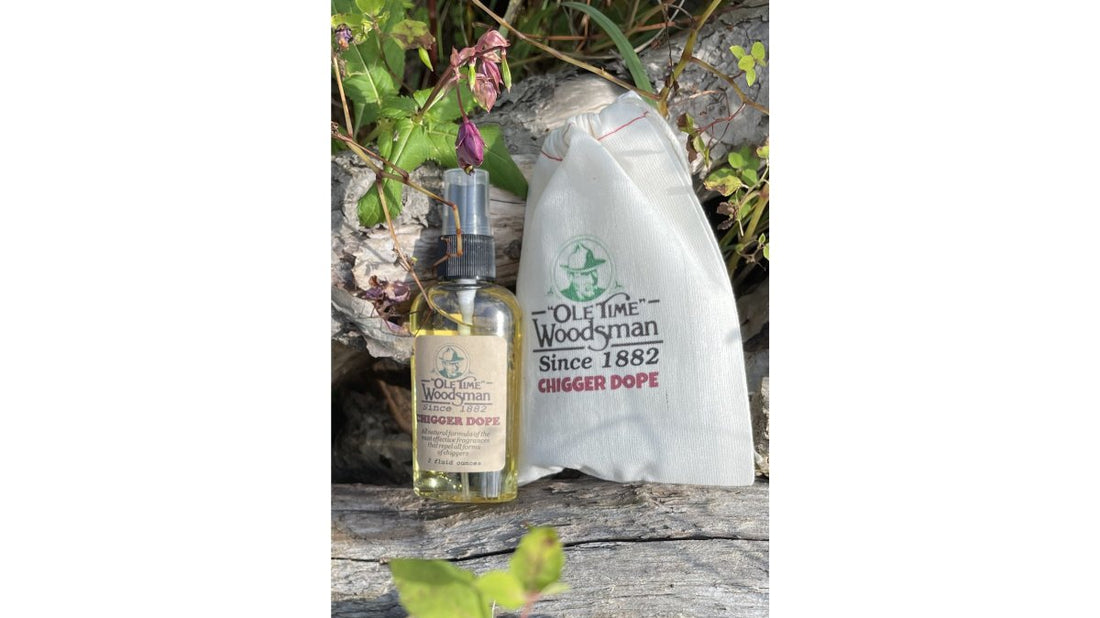 Natural Alternatives to Synthetic Insect Repellent